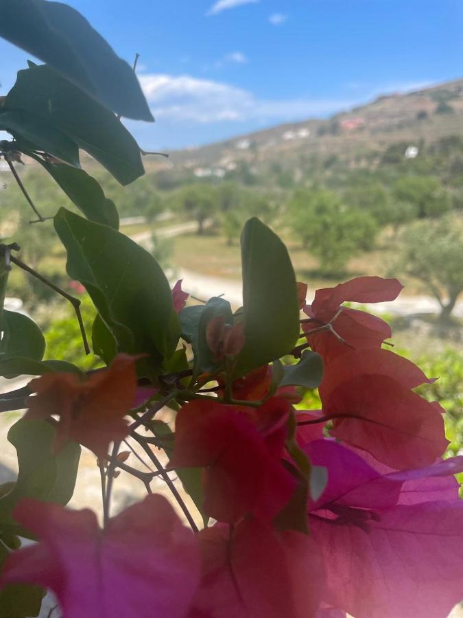 Κτήμα Ειρήνη Lägenhet Otziás Exteriör bild